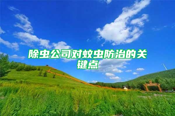 除虫公司对蚊虫防治的关键点