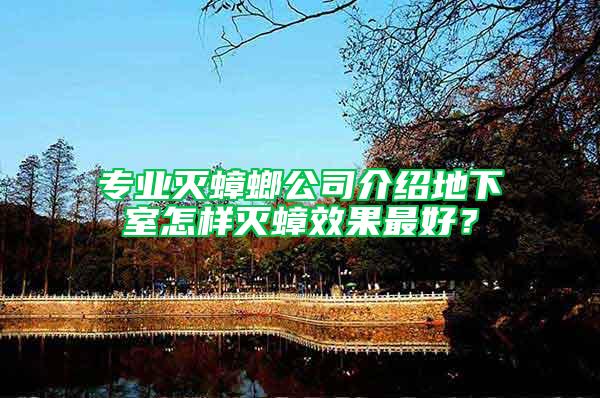 专业灭蟑螂公司介绍地下室怎样灭蟑效果最好？