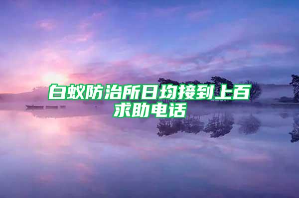 白蚁防治所日均接到上百求助电话