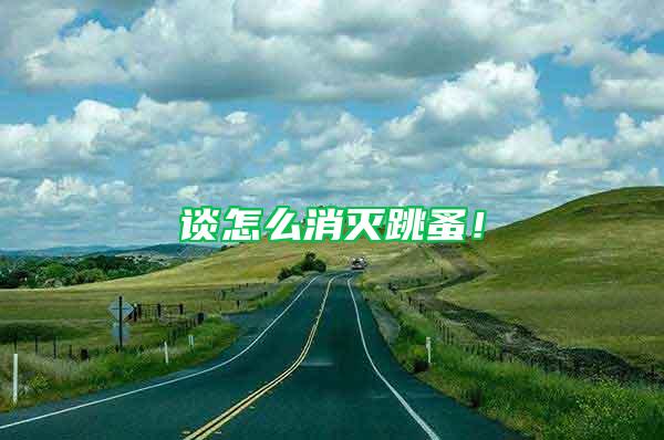 谈怎么消灭跳蚤！