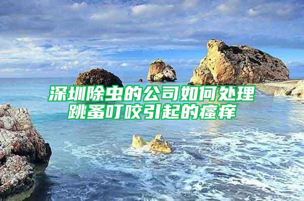 深圳除虫的公司如何处理跳蚤叮咬引起的瘙痒