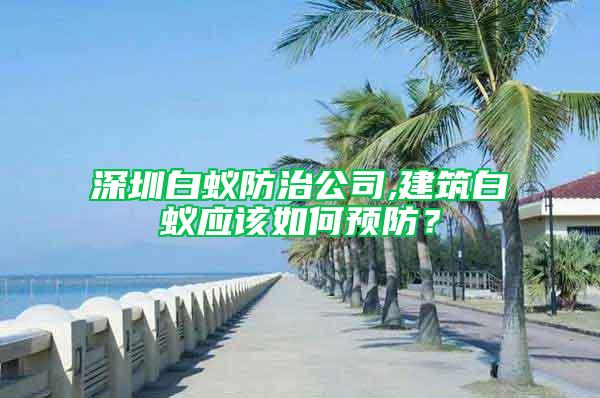 深圳白蚁防治公司,建筑白蚁应该如何预防？