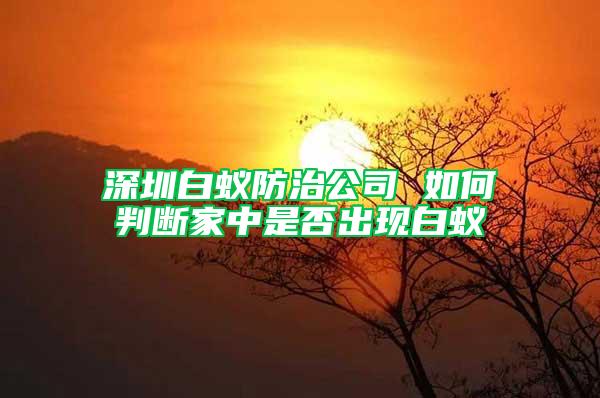 深圳白蚁防治公司 如何判断家中是否出现白蚁