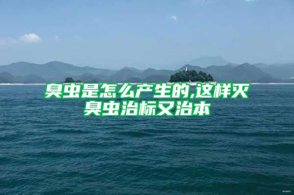 臭虫是怎么产生的,这样灭臭虫治标又治本