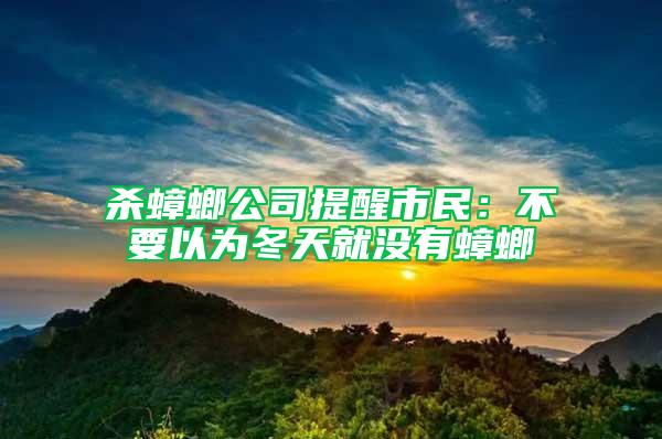 杀蟑螂公司提醒市民：不要以为冬天就没有蟑螂