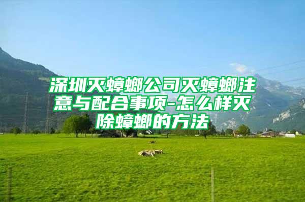 深圳灭蟑螂公司灭蟑螂注意与配合事项-怎么样灭除蟑螂的方法