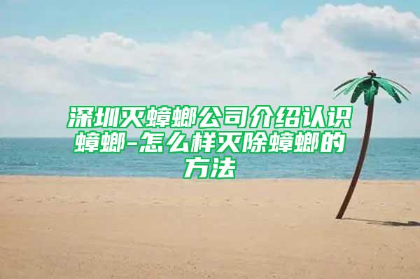 深圳灭蟑螂公司介绍认识蟑螂-怎么样灭除蟑螂的方法