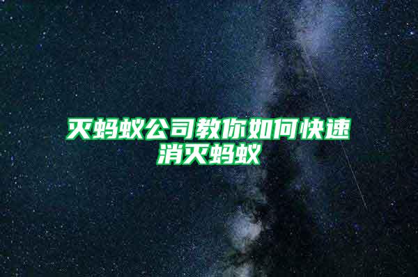 灭蚂蚁公司教你如何快速消灭蚂蚁