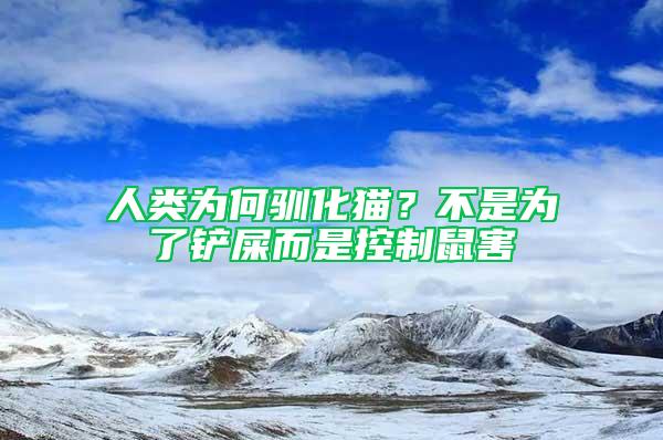 人类为何驯化猫？不是为了铲屎而是控制鼠害