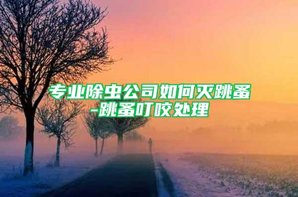 专业除虫公司如何灭跳蚤-跳蚤叮咬处理