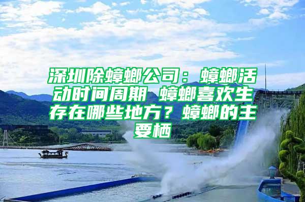 深圳除蟑螂公司：蟑螂活动时间周期 蟑螂喜欢生存在哪些地方？蟑螂的主要栖