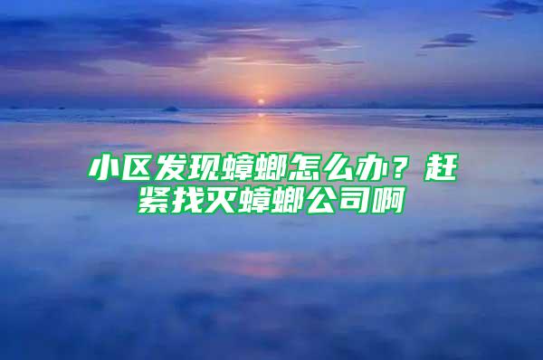 小区发现蟑螂怎么办？赶紧找灭蟑螂公司啊