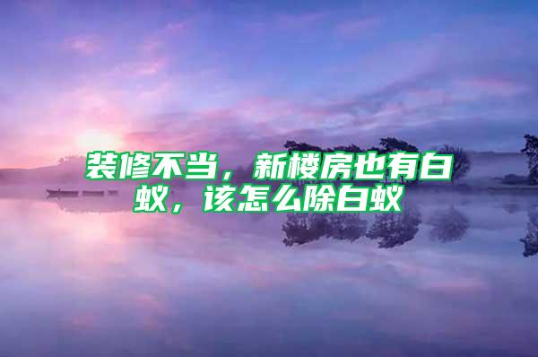 装修不当，新楼房也有白蚁，该怎么除白蚁