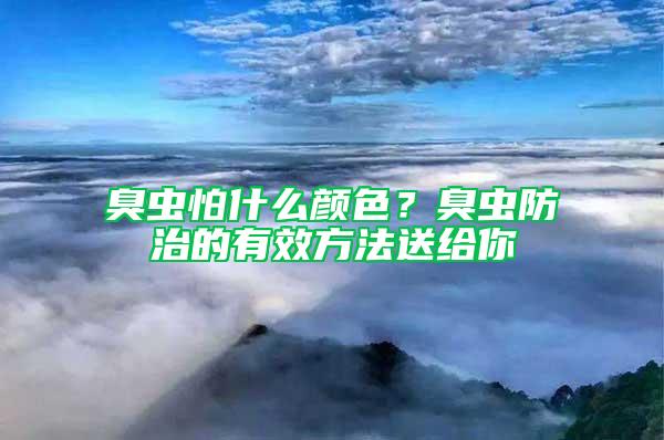 臭虫怕什么颜色？臭虫防治的有效方法送给你