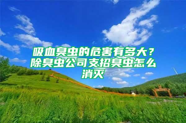 吸血臭虫的危害有多大？除臭虫公司支招臭虫怎么消灭