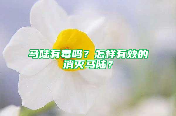 马陆有毒吗？怎样有效的消灭马陆？