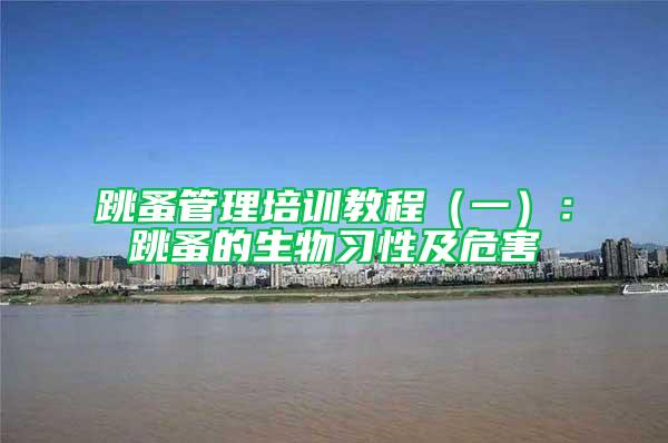 跳蚤管理培训教程（一）：跳蚤的生物习性及危害