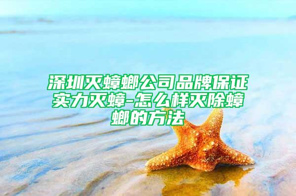 深圳灭蟑螂公司品牌保证实力灭蟑-怎么样灭除蟑螂的方法