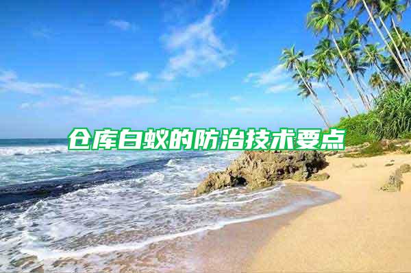 仓库白蚁的防治技术要点