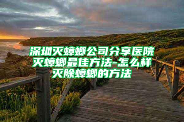 深圳灭蟑螂公司分享医院灭蟑螂最佳方法-怎么样灭除蟑螂的方法