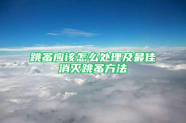 跳蚤应该怎么处理及最佳消灭跳蚤方法