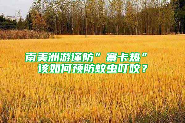 南美洲游谨防”寨卡热” 该如何预防蚊虫叮咬？