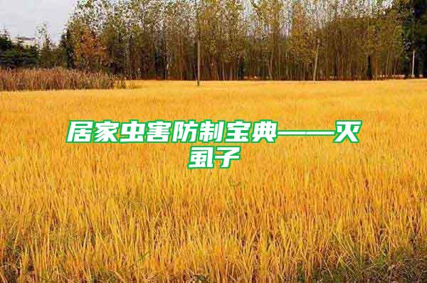 居家虫害防制宝典——灭虱子