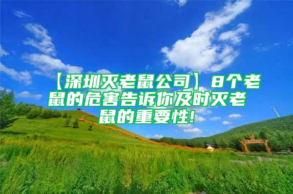 【深圳灭老鼠公司】8个老鼠的危害告诉你及时灭老鼠的重要性!