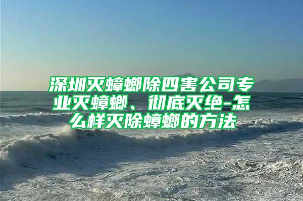 深圳灭蟑螂除四害公司专业灭蟑螂、彻底灭绝-怎么样灭除蟑螂的方法