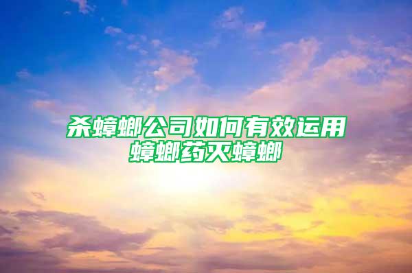 杀蟑螂公司如何有效运用蟑螂药灭蟑螂