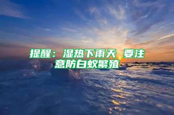 提醒：湿热下雨天 要注意防白蚁繁殖