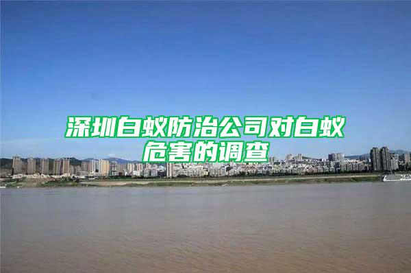 深圳白蚁防治公司对白蚁危害的调查
