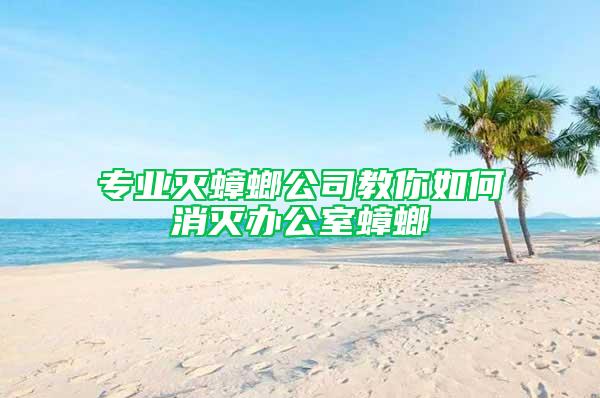 专业灭蟑螂公司教你如何消灭办公室蟑螂