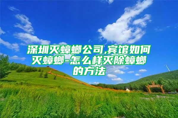 深圳灭蟑螂公司,宾馆如何灭蟑螂-怎么样灭除蟑螂的方法