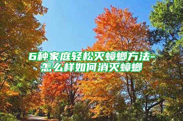 6种家庭轻松灭蟑螂方法-怎么样如何消灭蟑螂