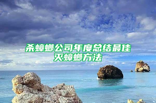 杀蟑螂公司年度总结最佳灭蟑螂方法