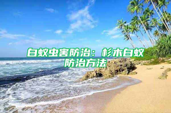 白蚁虫害防治：杉木白蚁防治方法