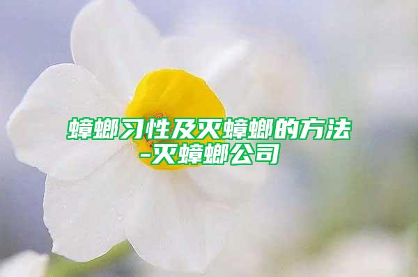 蟑螂习性及灭蟑螂的方法-灭蟑螂公司