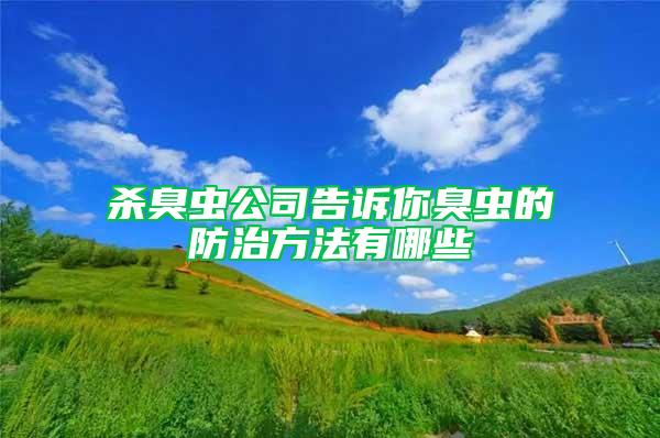 杀臭虫公司告诉你臭虫的防治方法有哪些