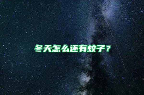 冬天怎么还有蚊子？