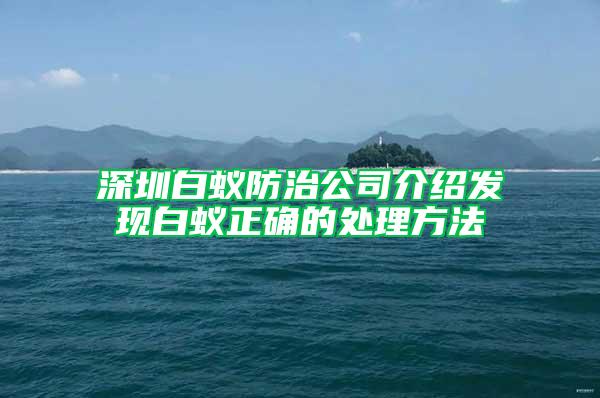 深圳白蚁防治公司介绍发现白蚁正确的处理方法