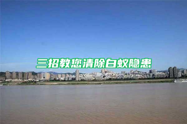 三招教您清除白蚁隐患