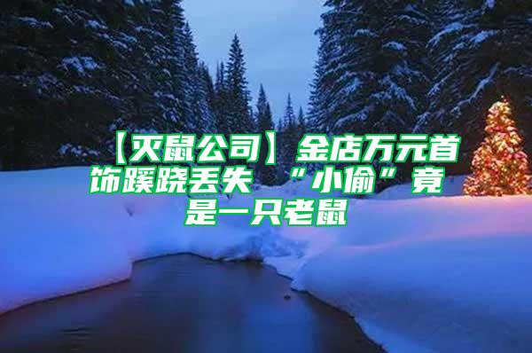 【灭鼠公司】金店万元首饰蹊跷丢失 “小偷”竟是一只老鼠