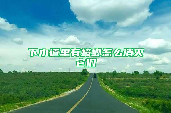 下水道里有蟑螂怎么消灭它们