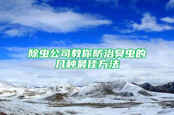 除虫公司教你防治臭虫的几种最佳方法