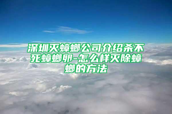 深圳灭蟑螂公司介绍杀不死蟑螂卵-怎么样灭除蟑螂的方法