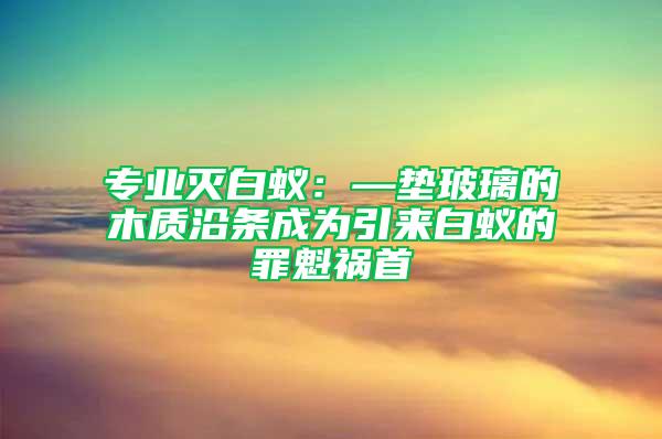 专业灭白蚁：—垫玻璃的木质沿条成为引来白蚁的罪魁祸首