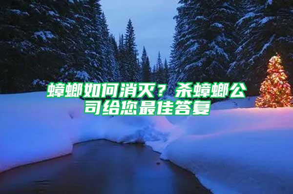 蟑螂如何消灭？杀蟑螂公司给您最佳答复