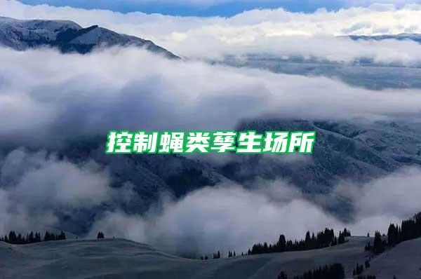 控制蝇类孳生场所