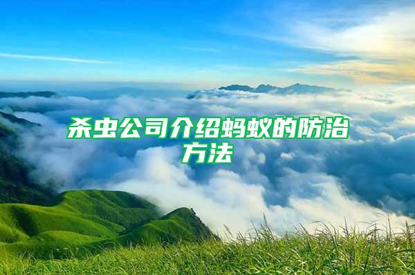 杀虫公司介绍蚂蚁的防治方法